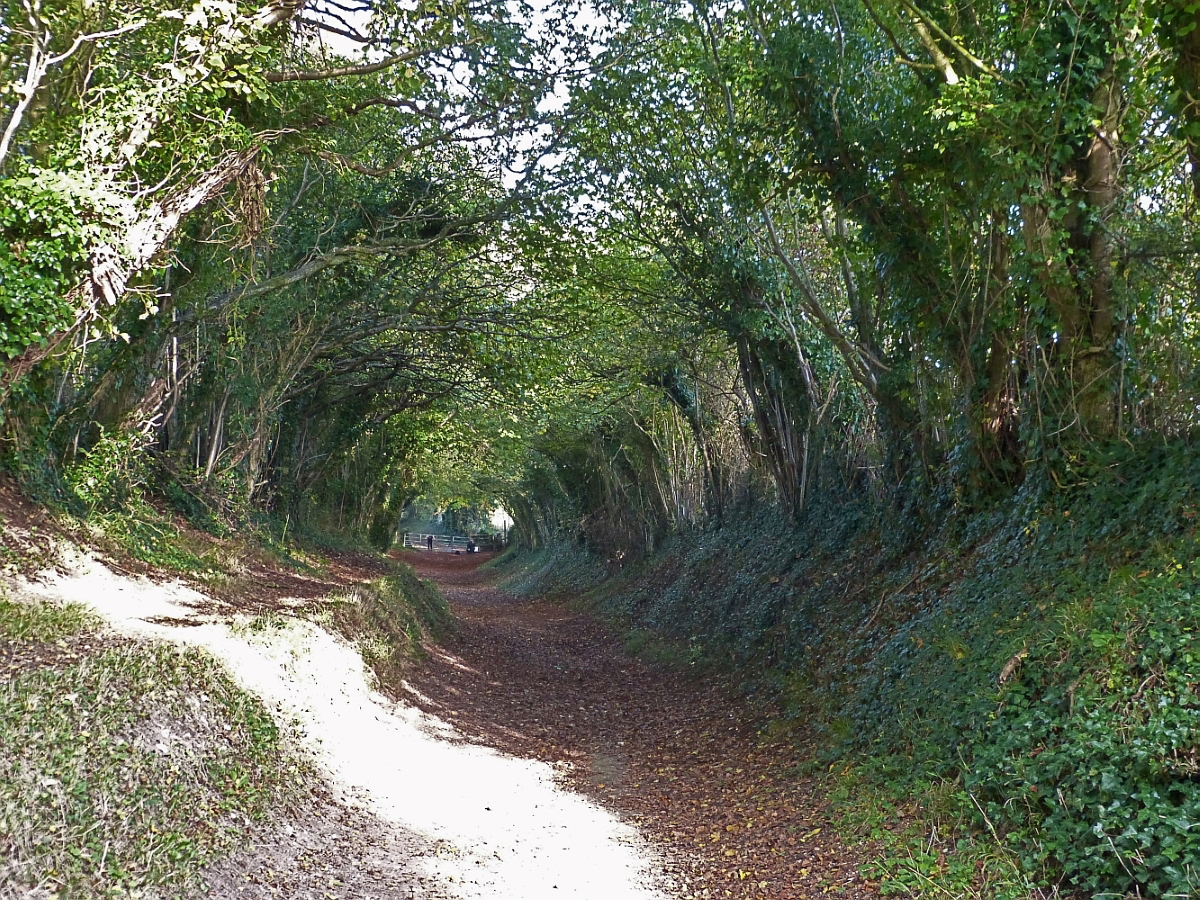 mill lane section stane street england