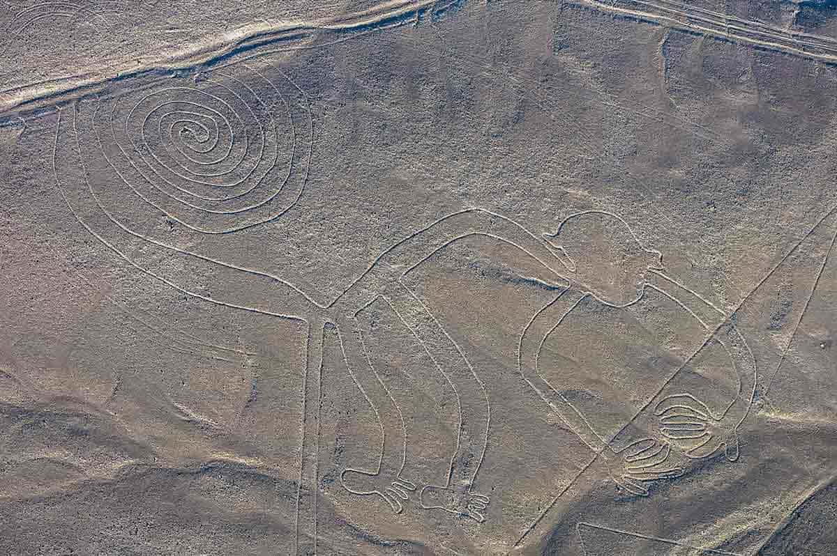 monkey glyph nazca lines