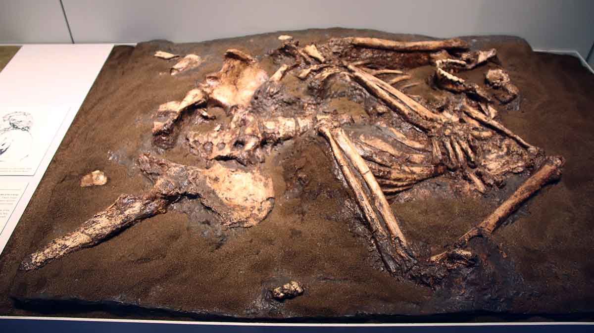 neanderthal burial cast jerusalem museum