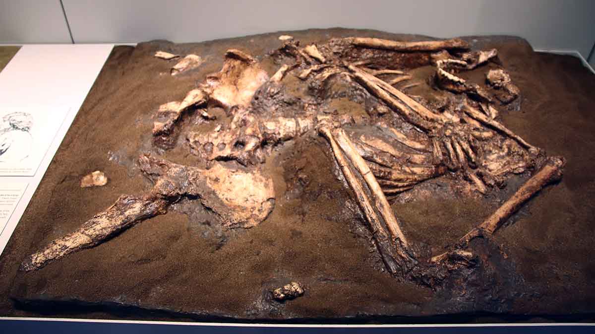 neanderthal burial cast jerusalem museum