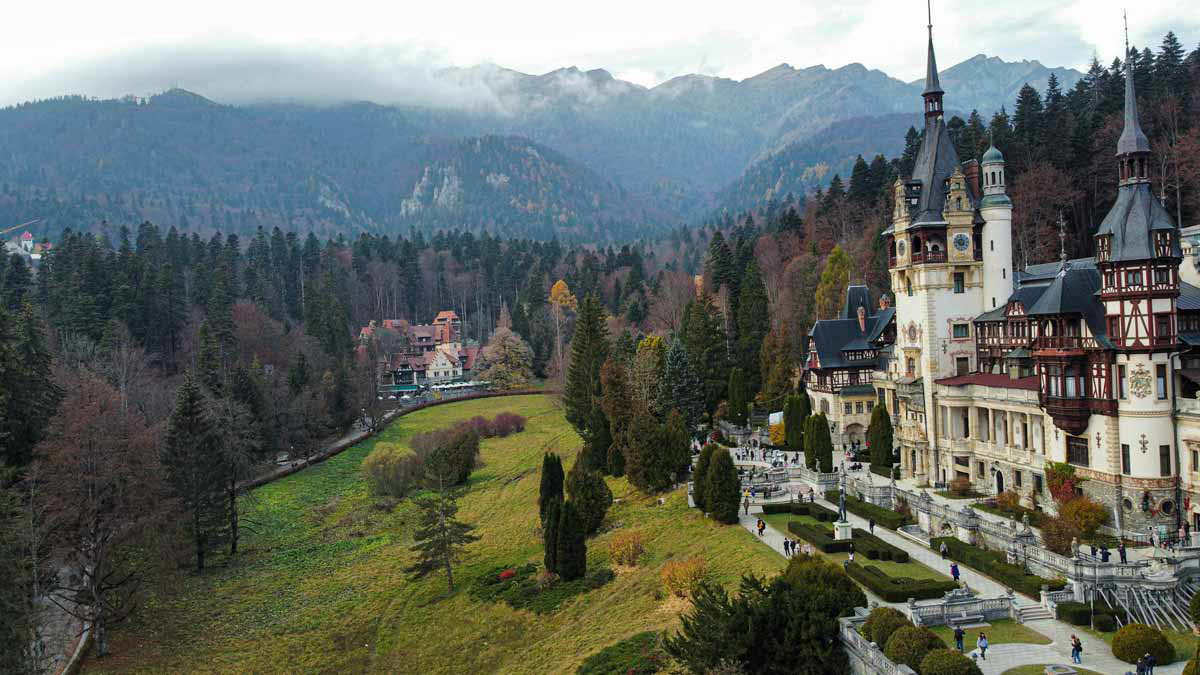 peles castle 2 forest view