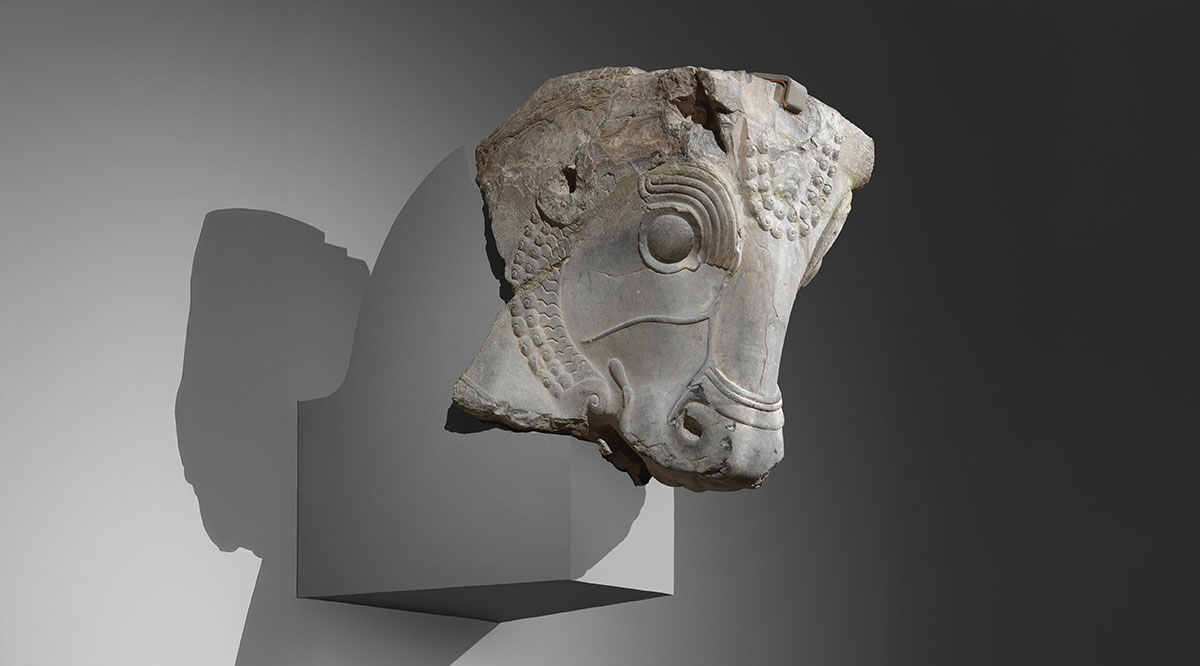 persian bulls column