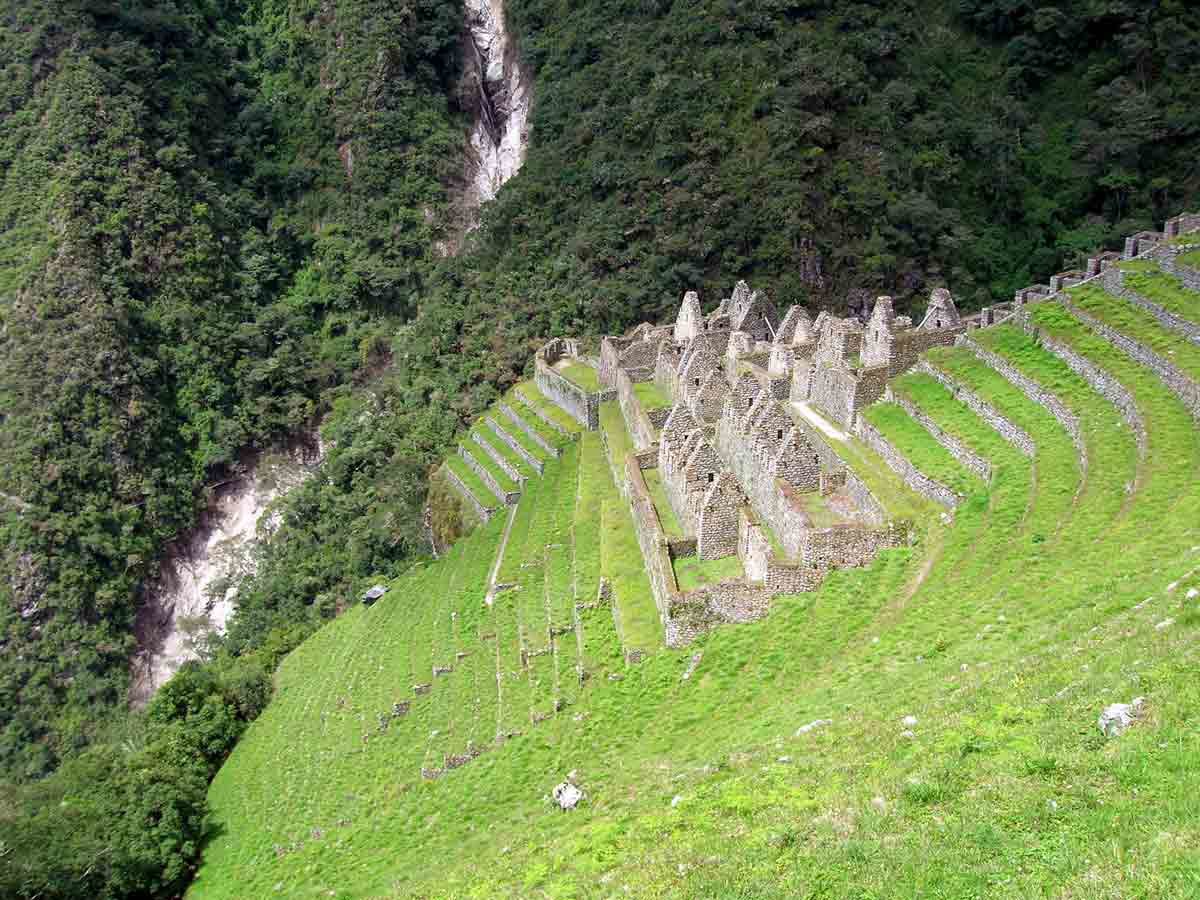 peru winay wayna
