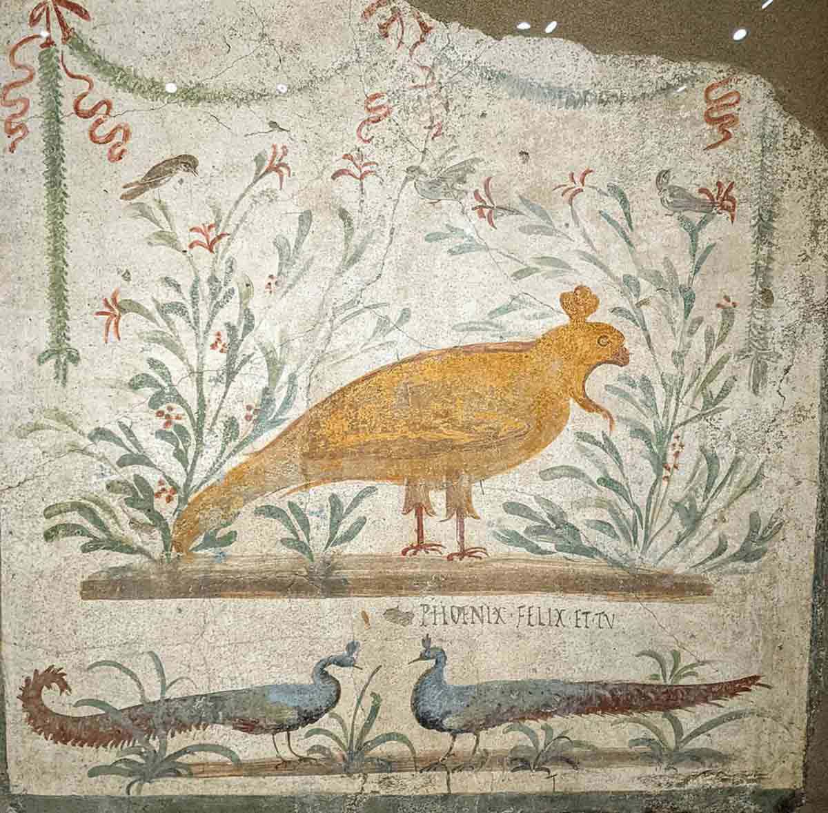 phoenix tavern sign pompeii