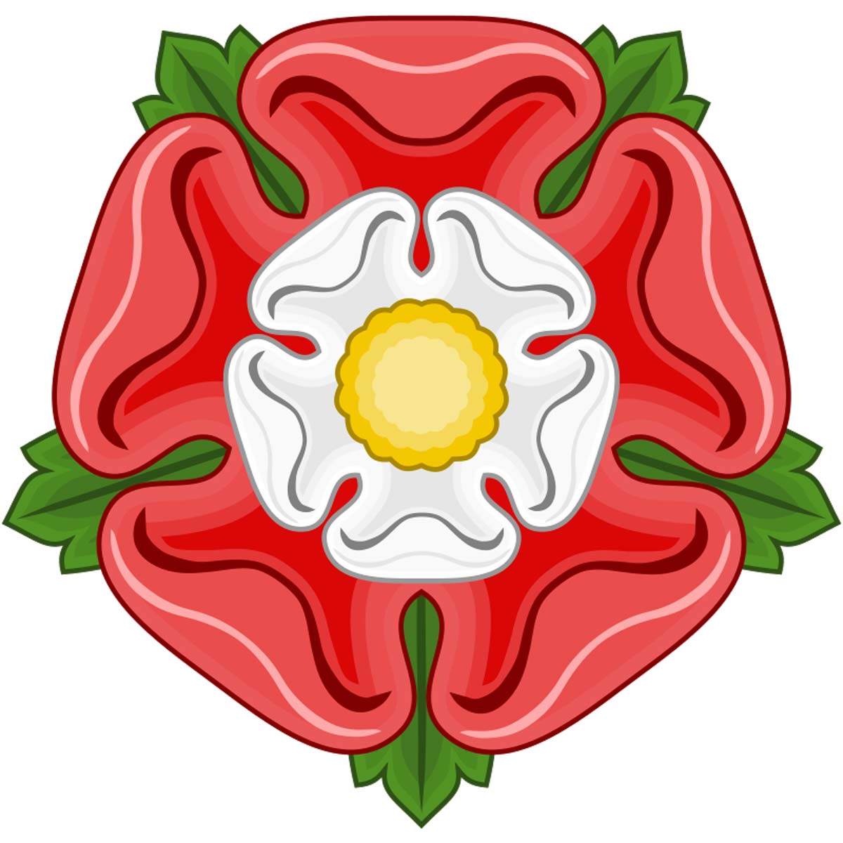 plain tudor rose