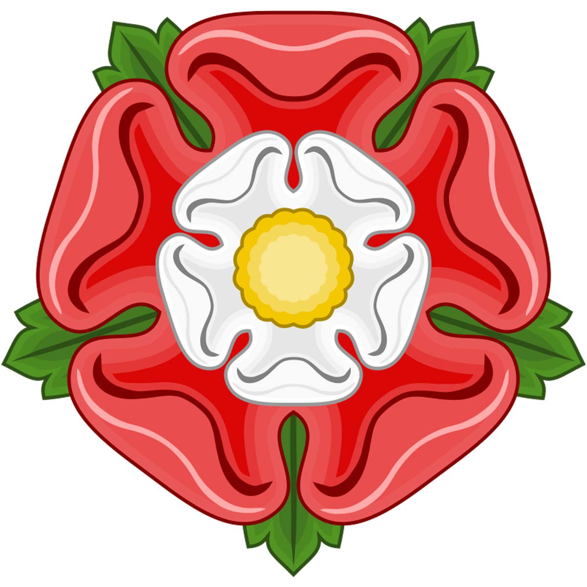 plain tudor rose
