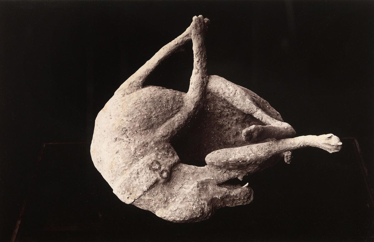 pompeii bodies dog cast