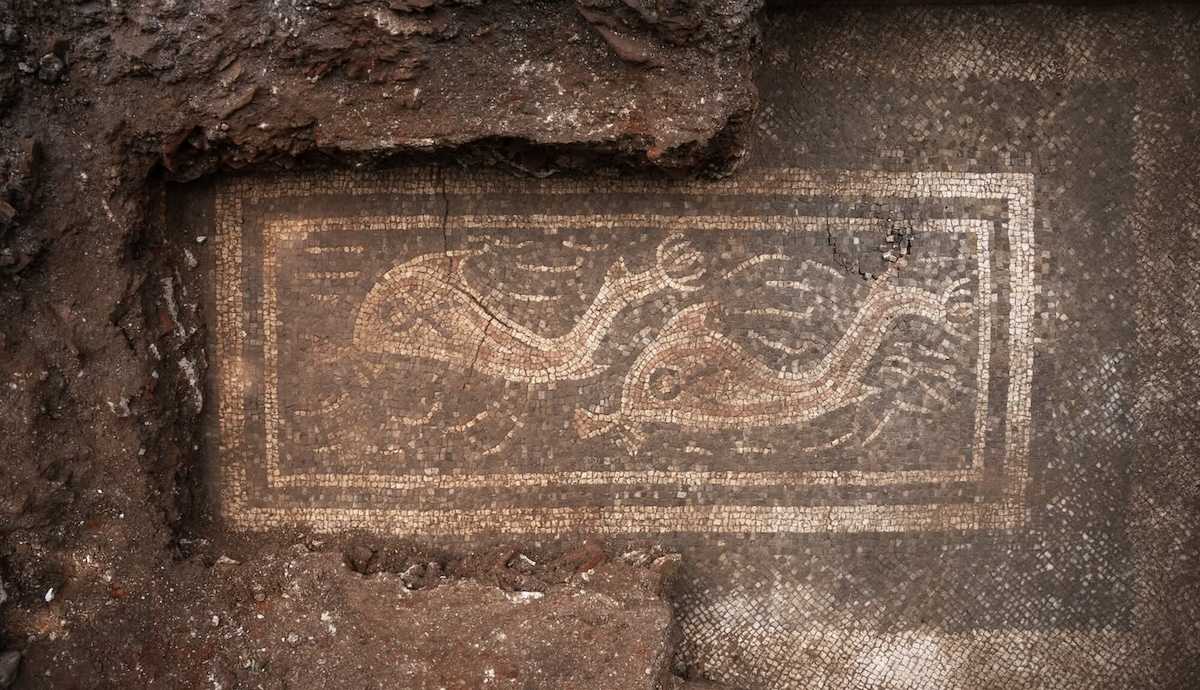 rare-roman-mosaics-dolphin-artwork-austria