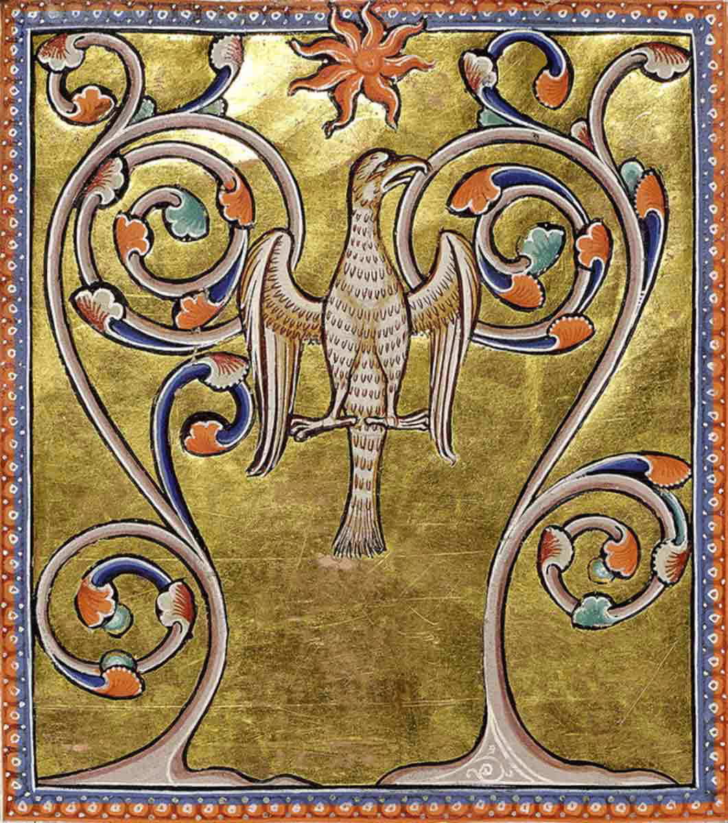 reborn phoenix aberdeen bestiary project