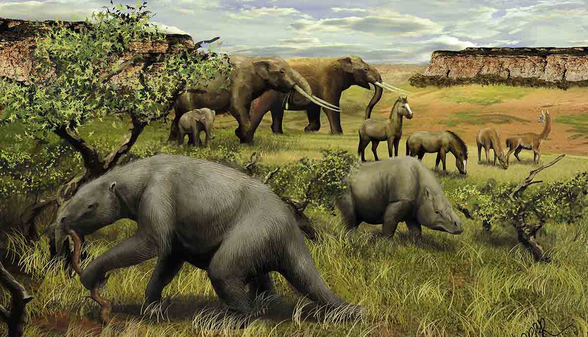 recreation late pleistocene