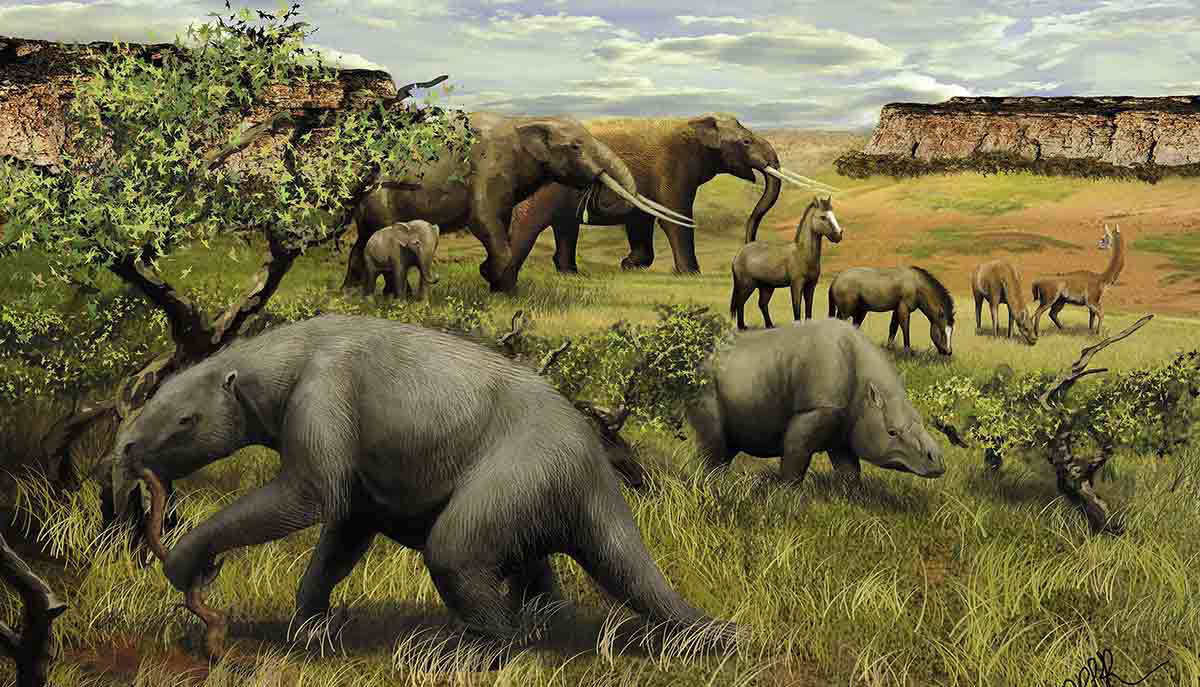 recreation late pleistocene
