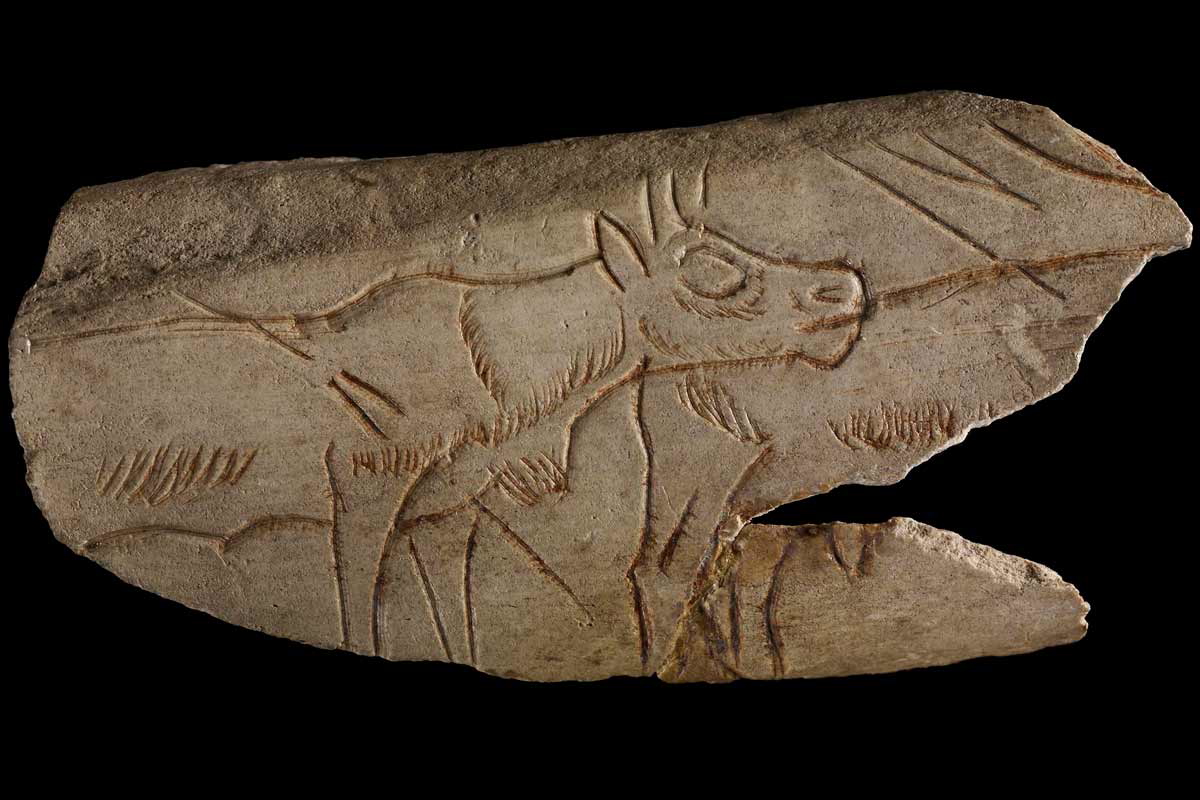 reindeer-madeleine-rockshelter-prehistoric-art