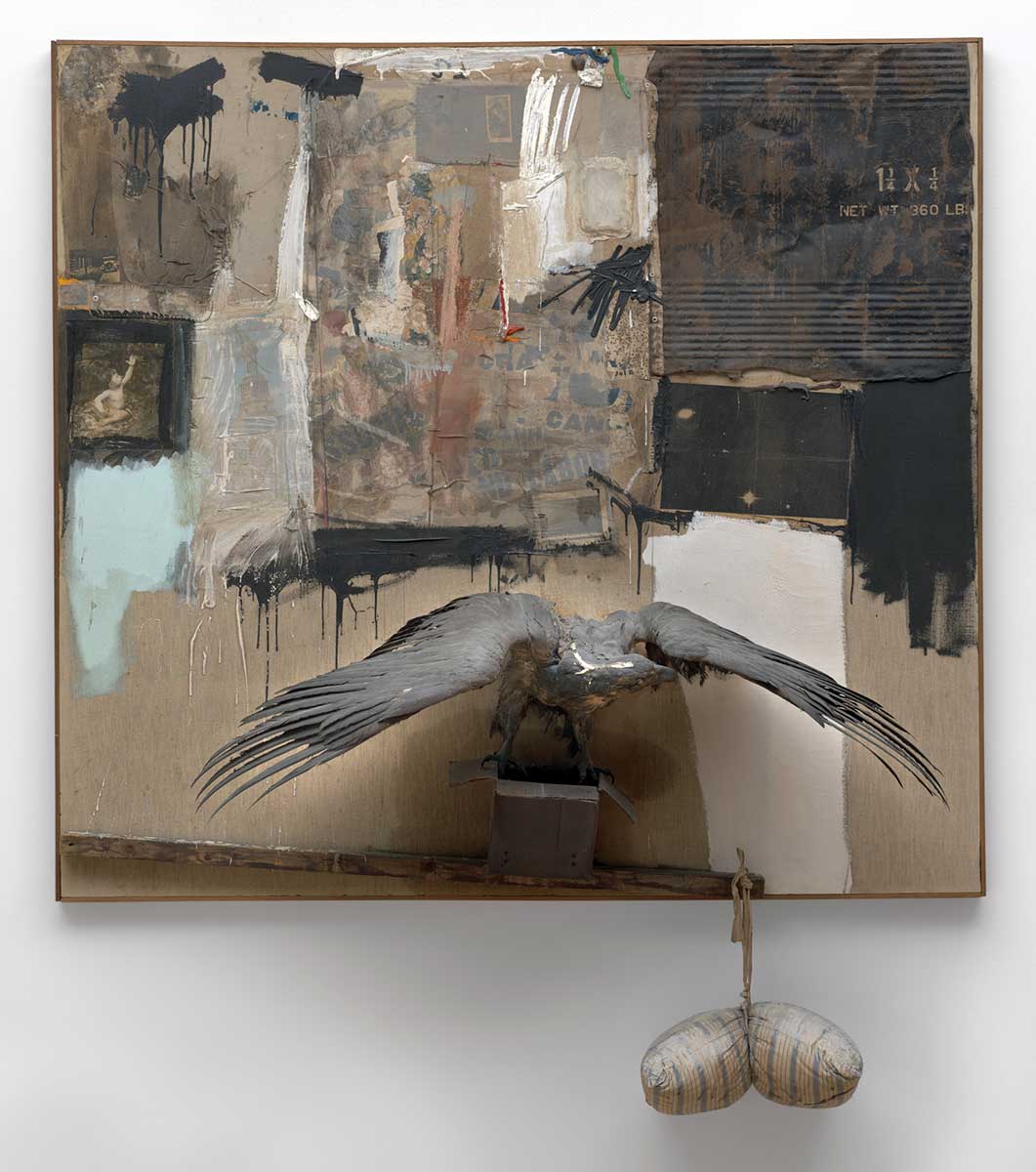 robert rauschenberg canyon