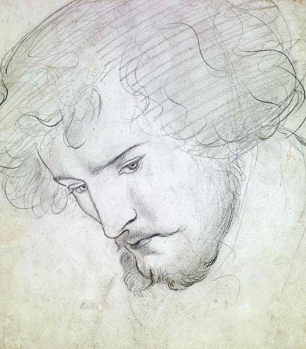 seed william morris sketch