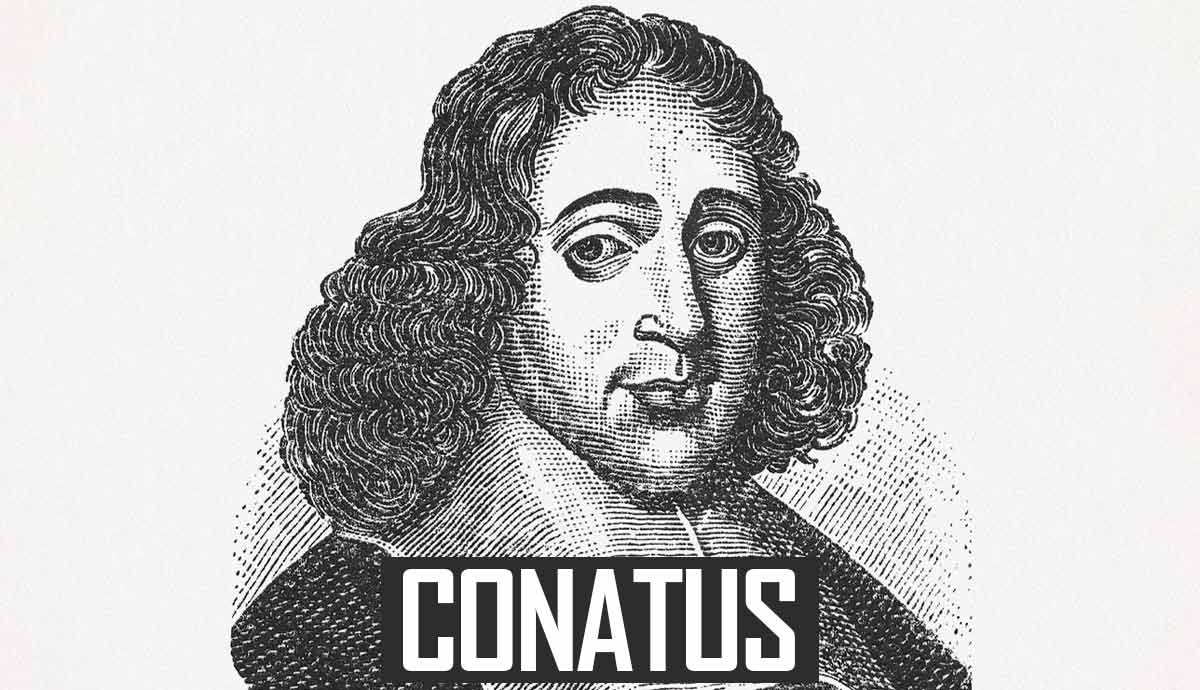 spinoza conatus meaning