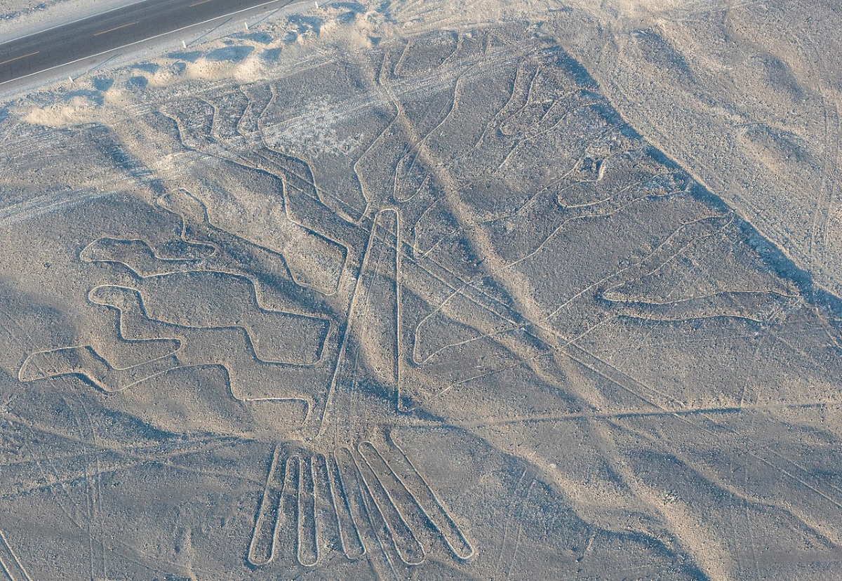 tree geoglyphs of nazca lines peru