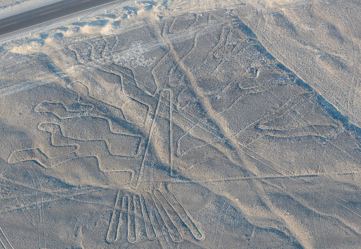 tree geoglyphs of nazca lines peru