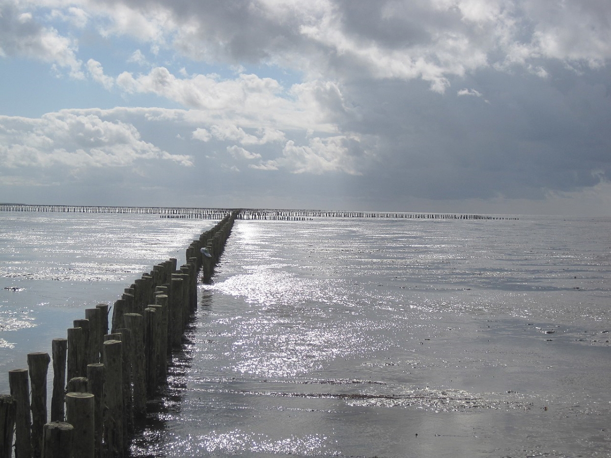 wadden sea near pieterburen netherlands