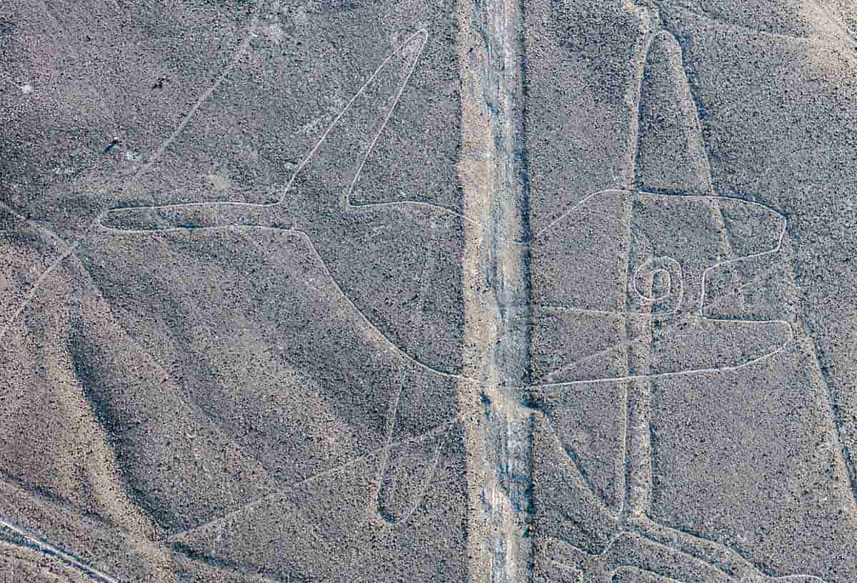 whale nazca lines