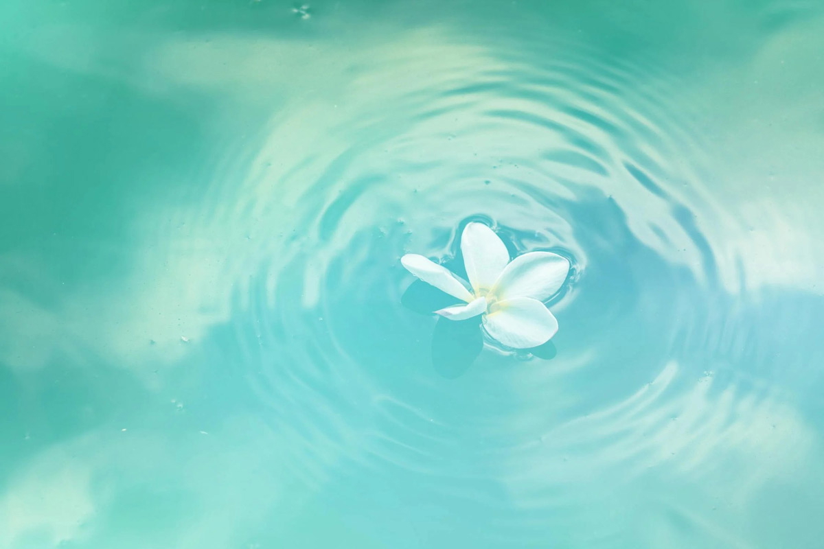 white flower