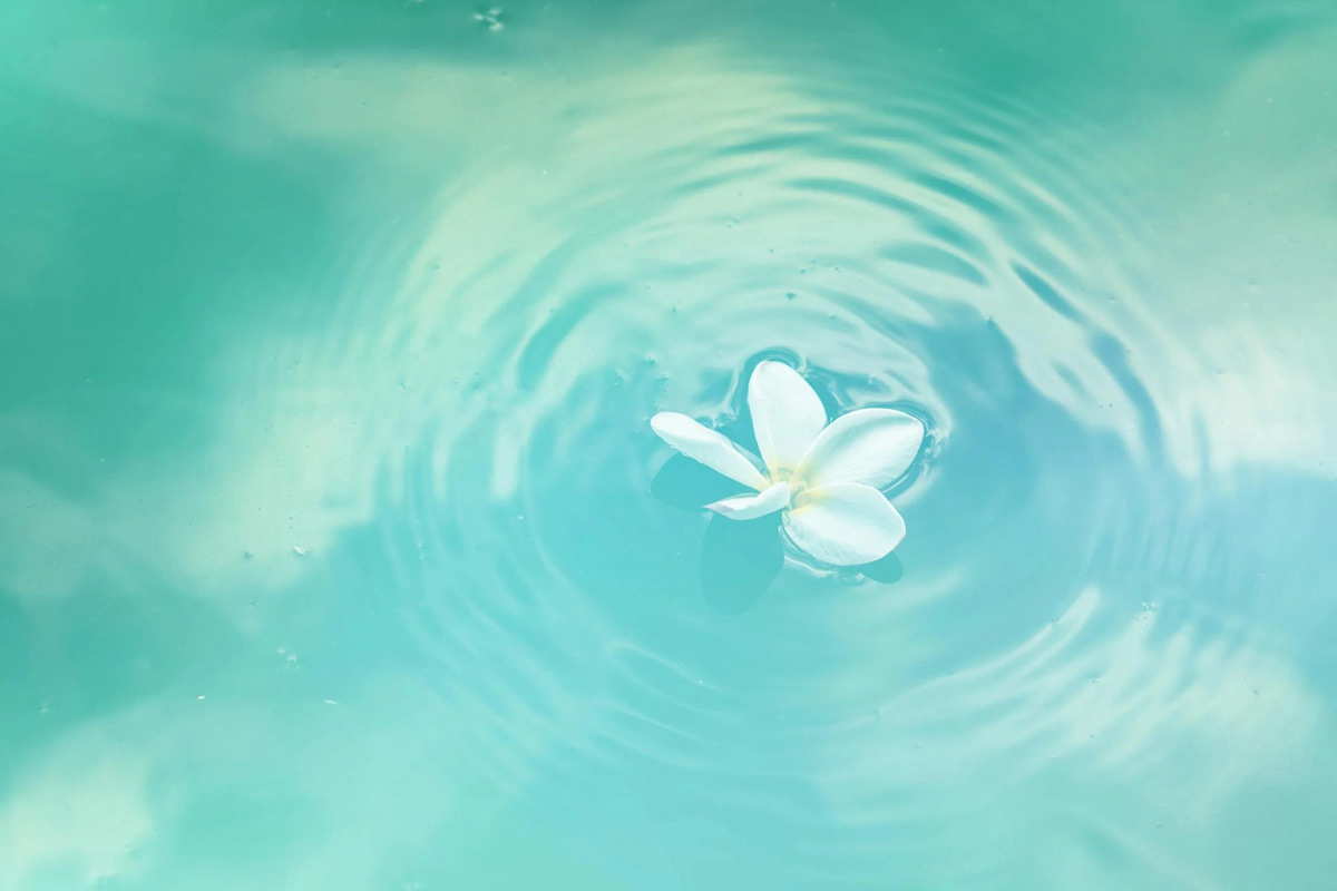 white flower