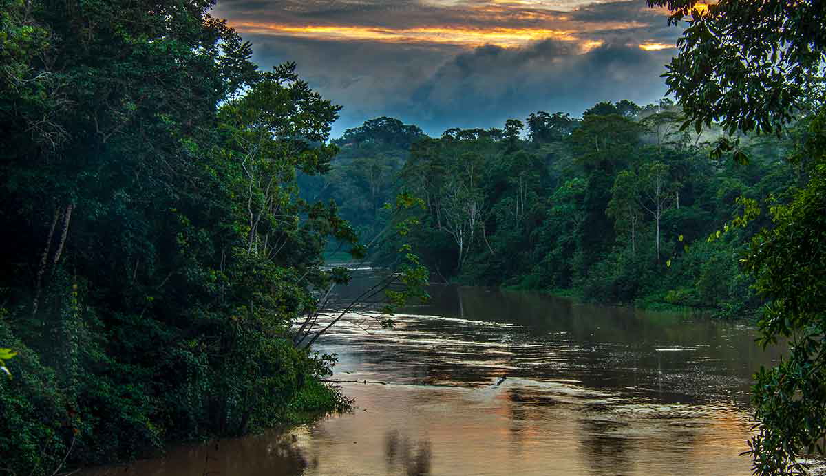 yasuni national park