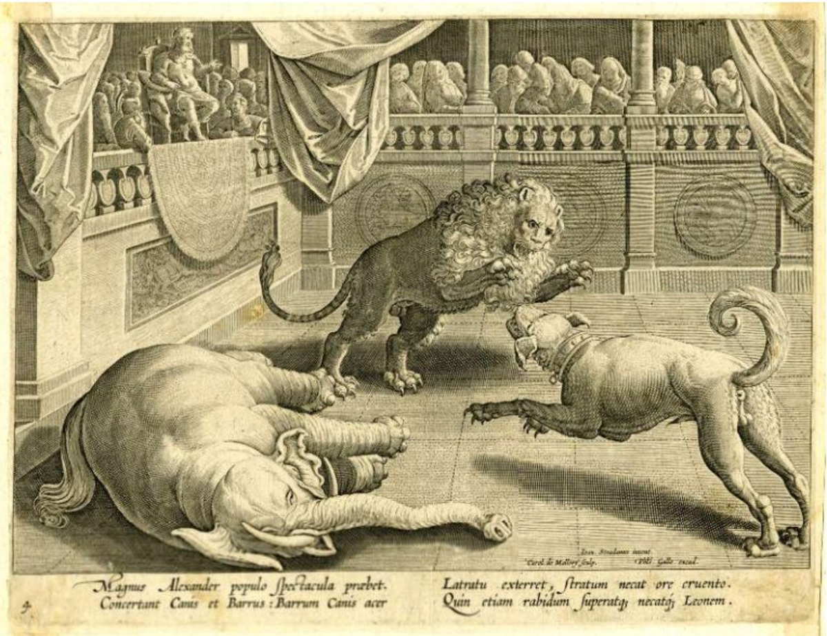 Ethcing showing Alexander watching a fight between a dog with a lion and an elephant, c. 16th century. Source: British Library