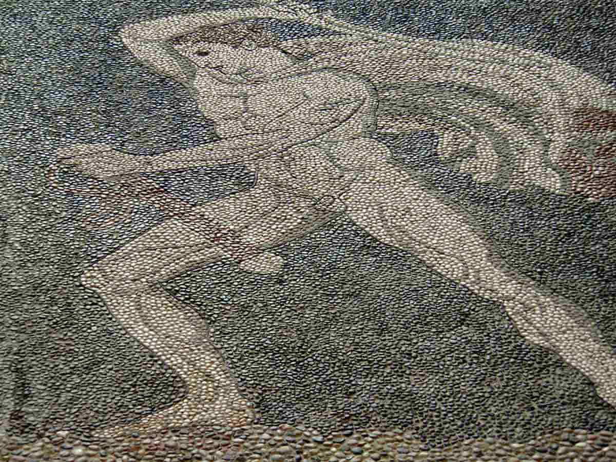 Craterus Lion Hunt Mosaic Archaeological Museum Pella