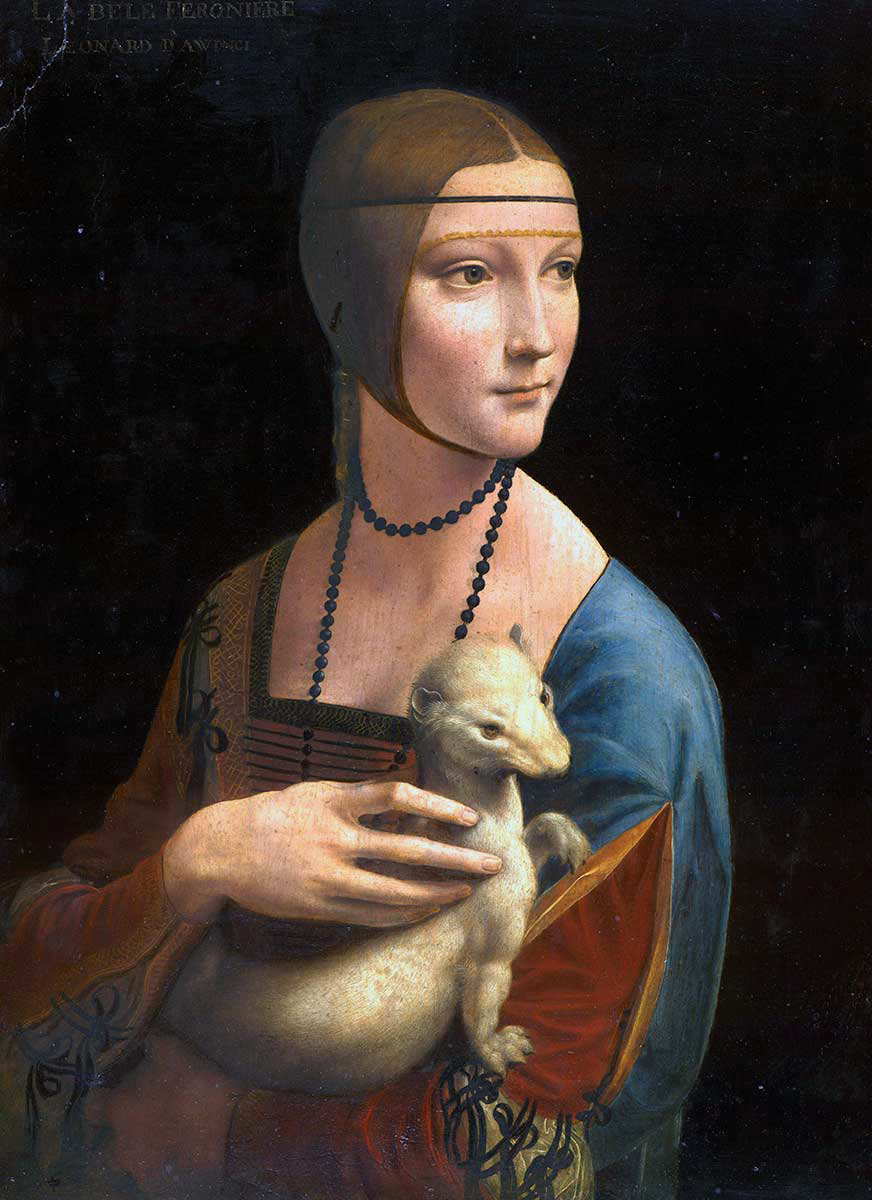 Leonardo Ermine image