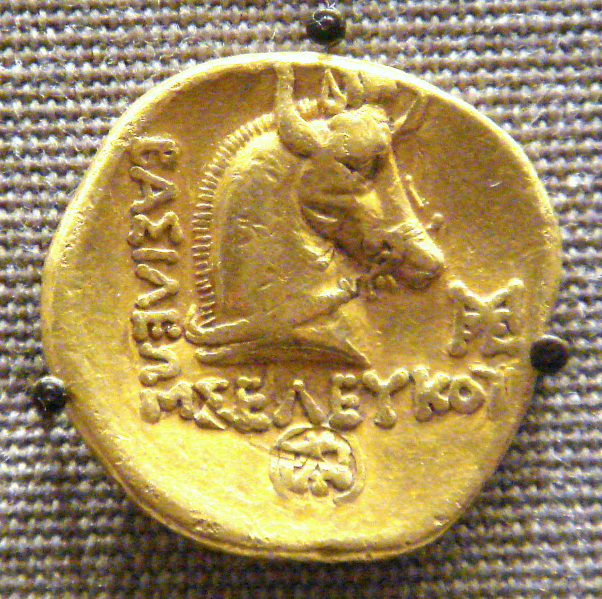 Coin depicting Bucephalas, issued by Seleucus I Nicator, one of Alexander's successors. Source: Wikimedia Commons