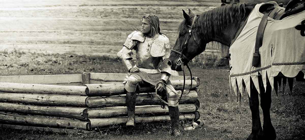 a knight and horse