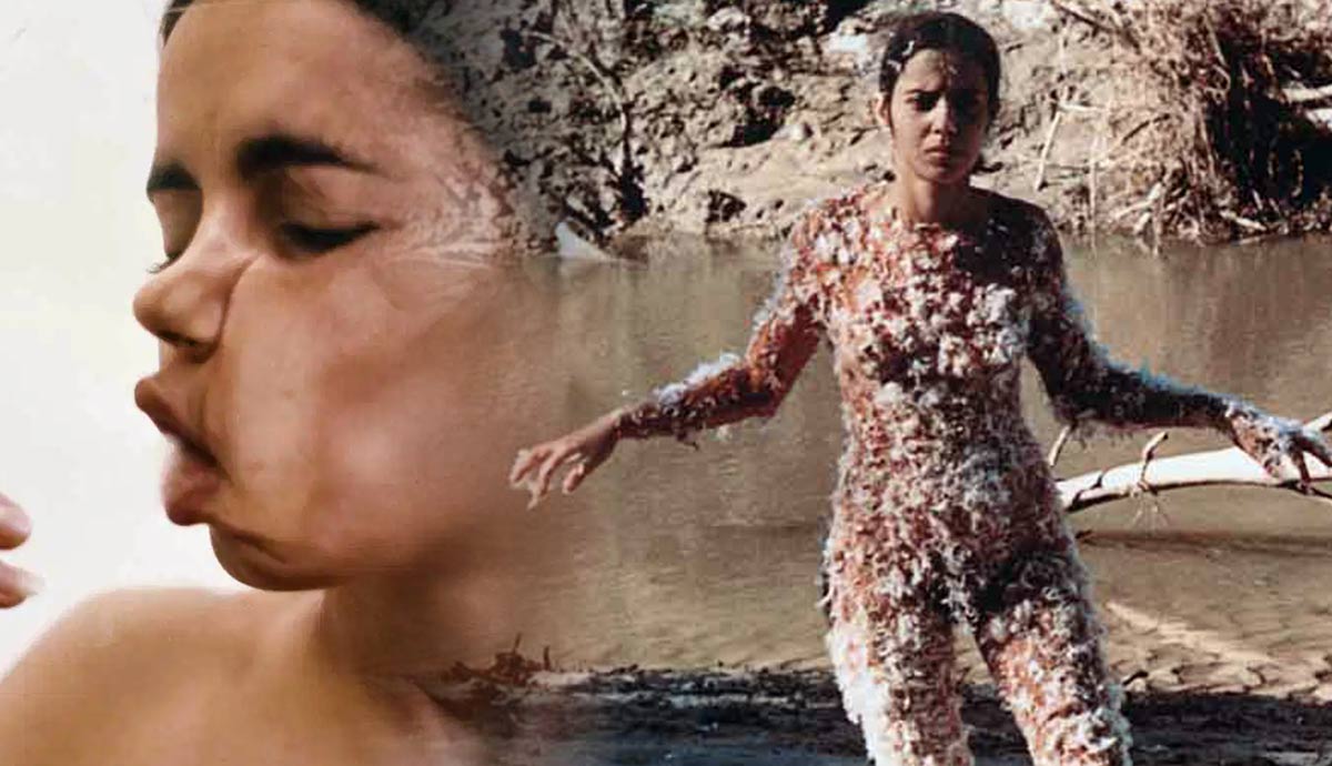 Ana Mendieta body and film stills