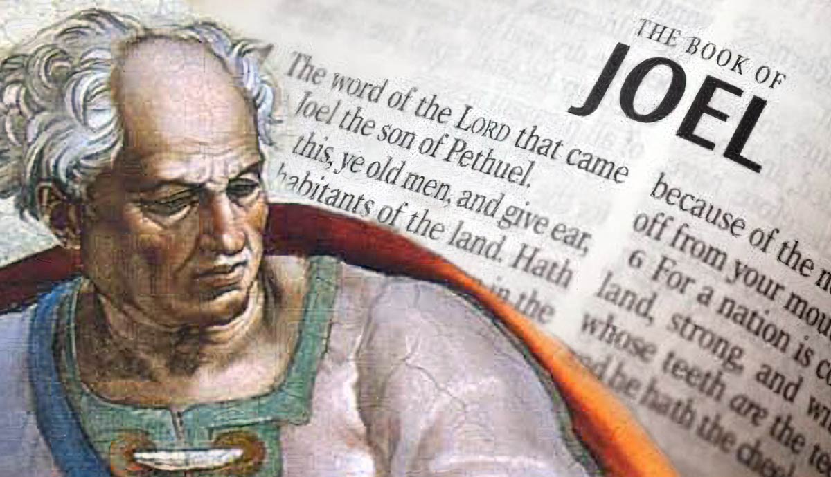 book joel what is about