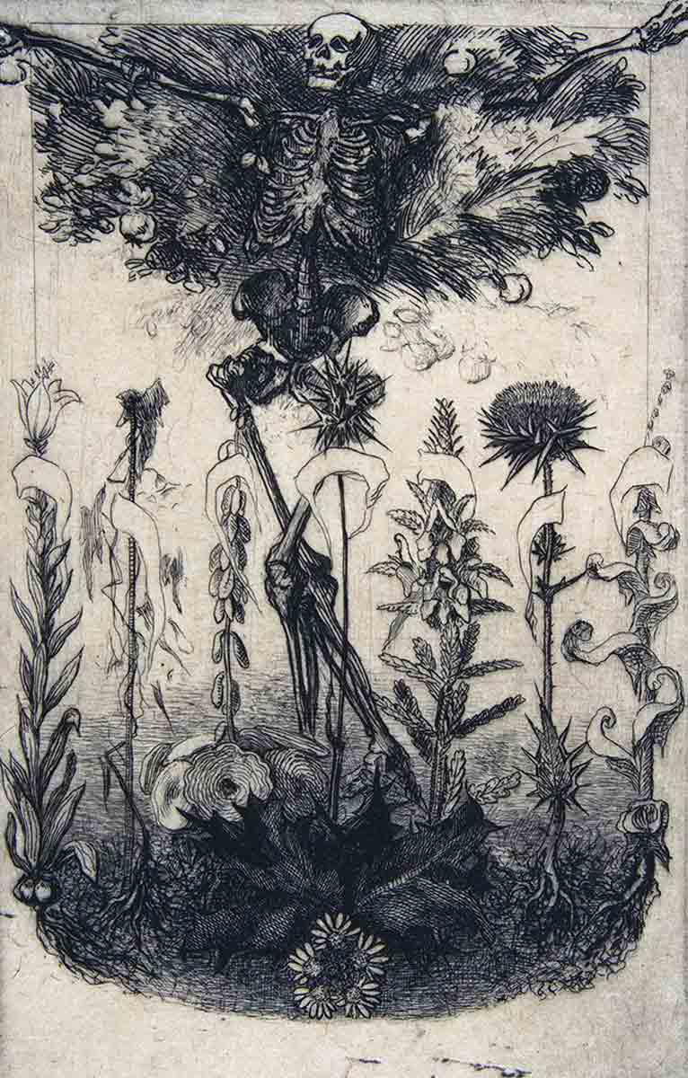 charles baudelaire bracquemond flowers print