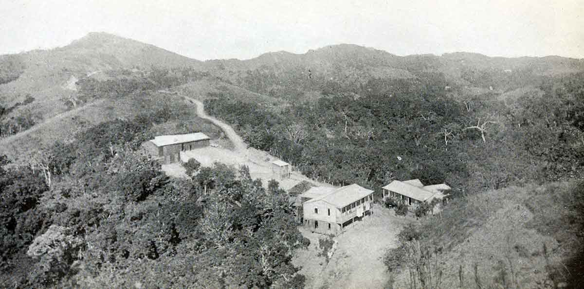 coffee plantation puerto rico
