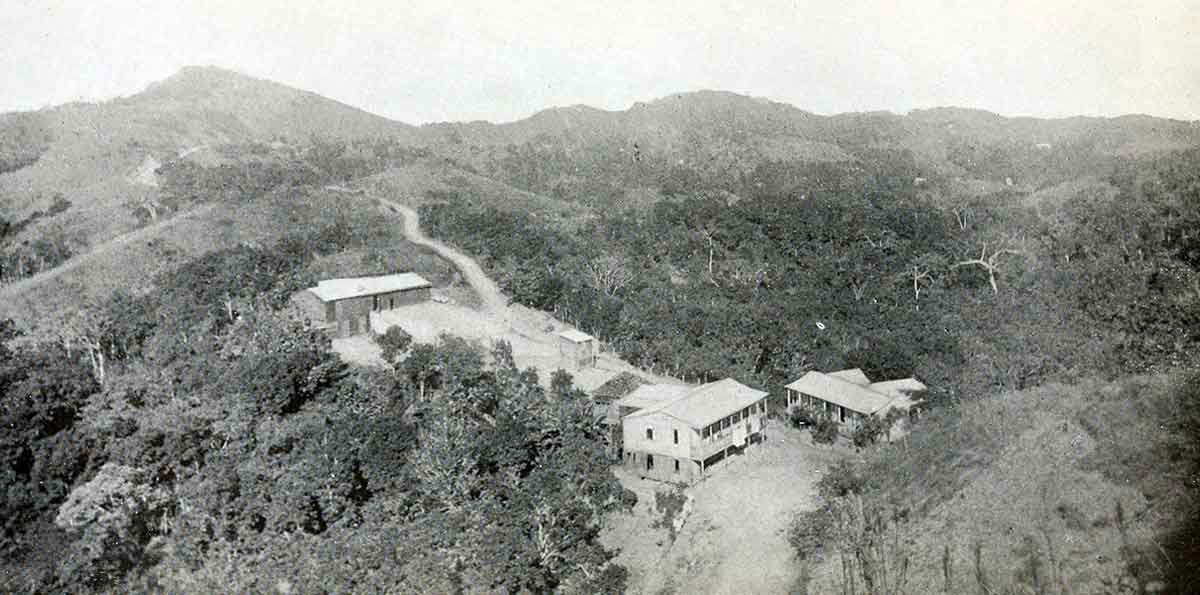 coffee plantation puerto rico