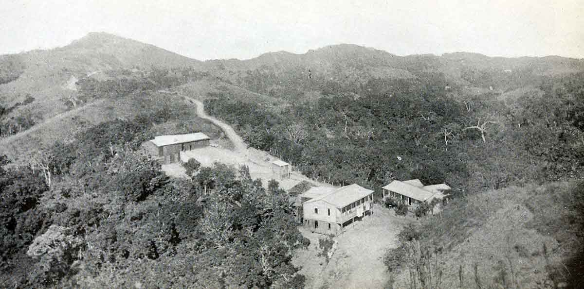 coffee plantation puerto rico