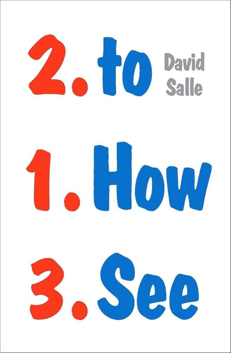 david salle how to see book