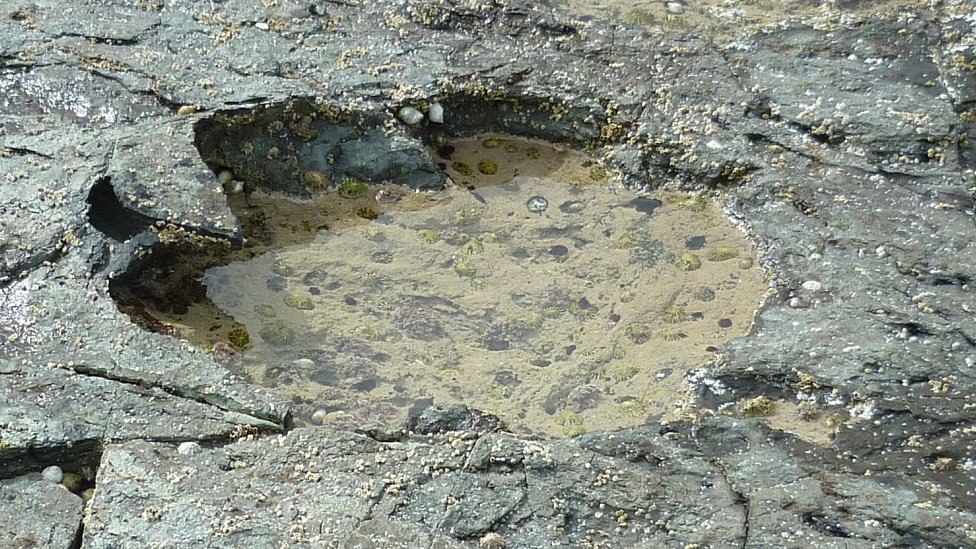 Dinosaur footprint on the Isle of Skye. Source: BBC