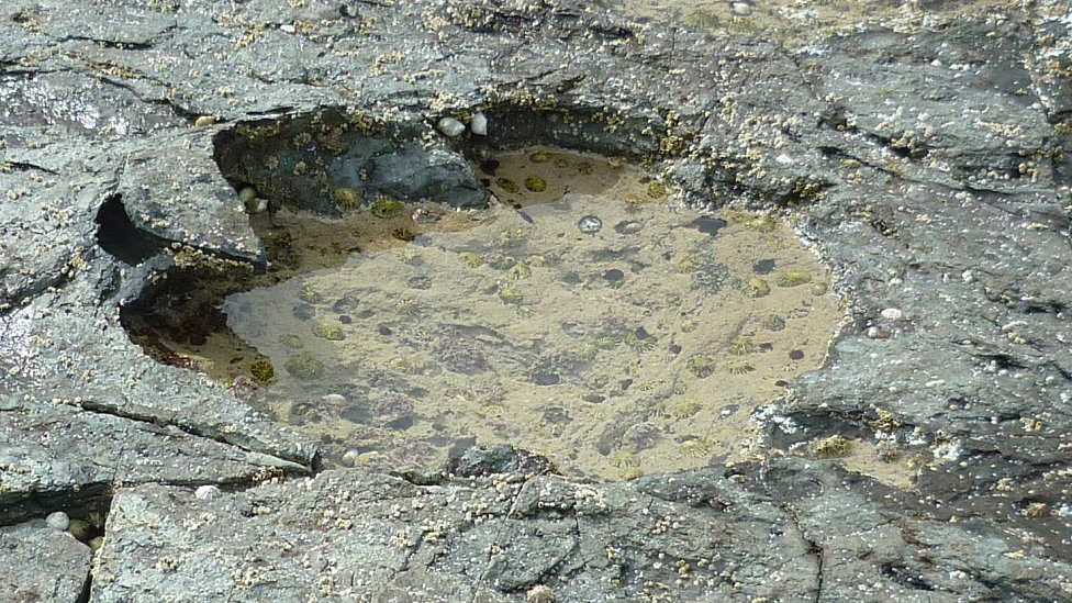 Dinosaur footprint on the Isle of Skye. Source: BBC