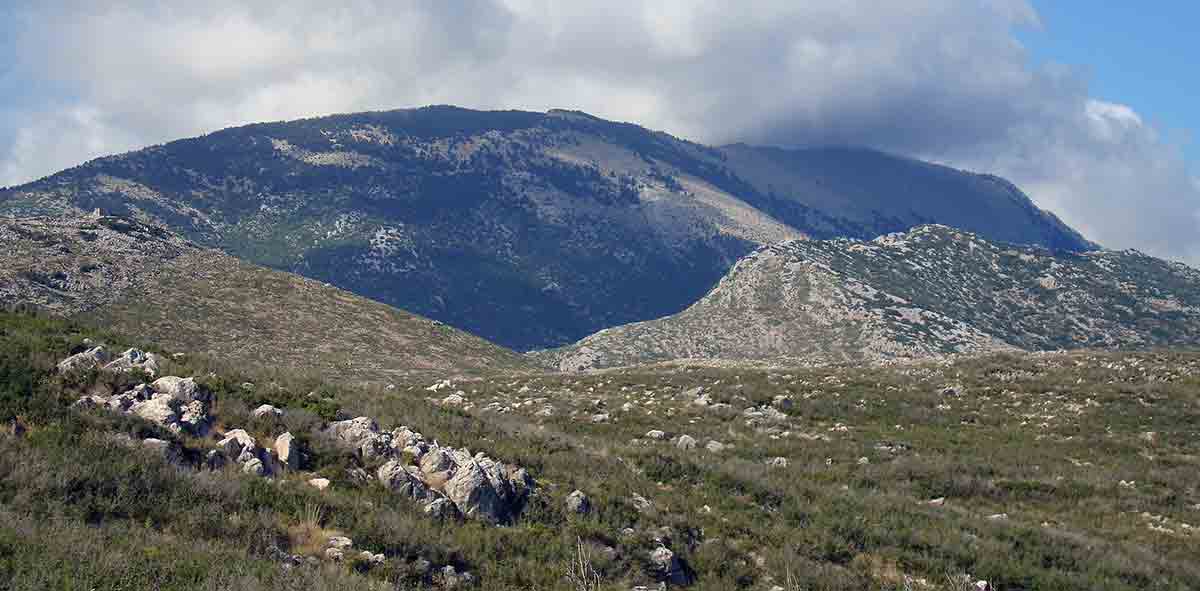 gofas mount zagaras helicon photograph