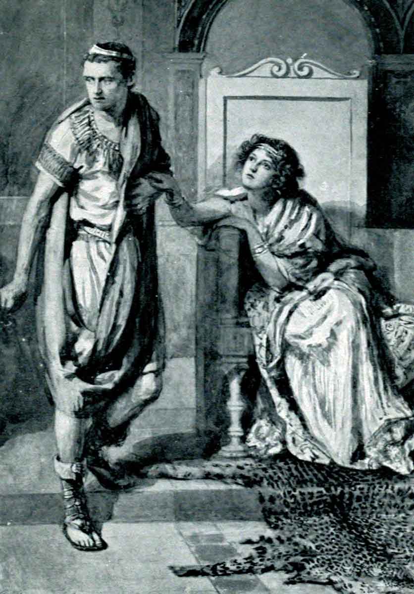 hammond bellerophon anteia illustration