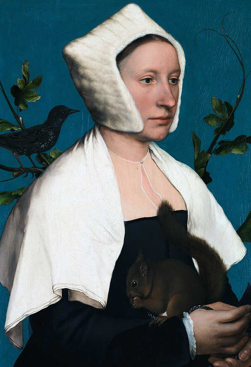 hans holbein the younger squirrel painting