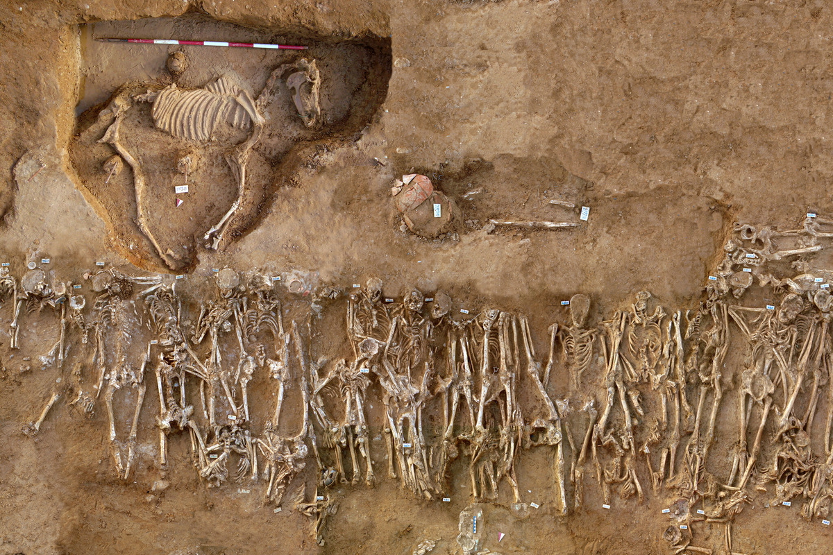 Burial excavations at Himera, 2008. Source: Archaeology Magazine