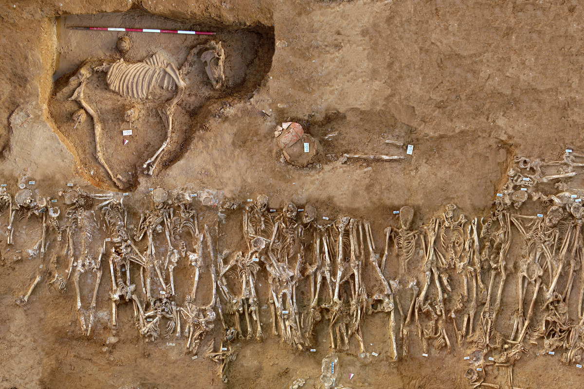 Burial excavations at Himera, 2008. Source: Archaeology Magazine