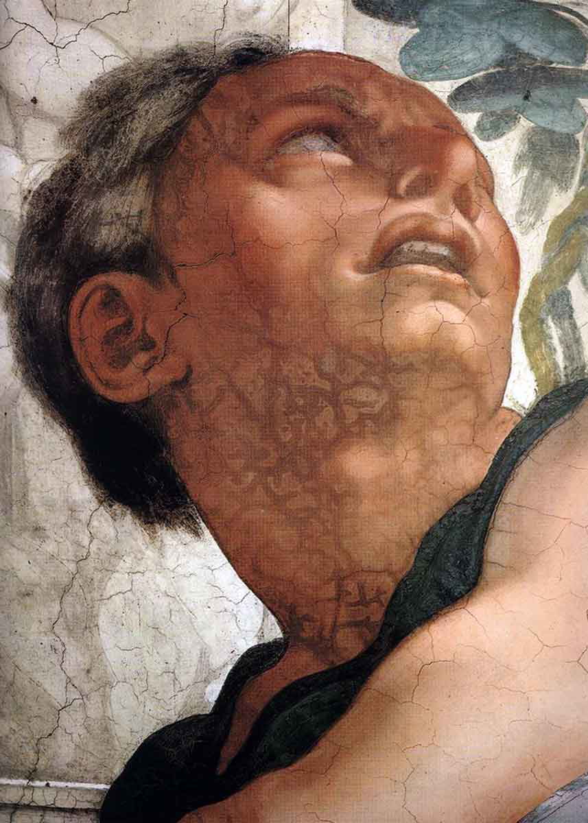 jonah michaelangelo