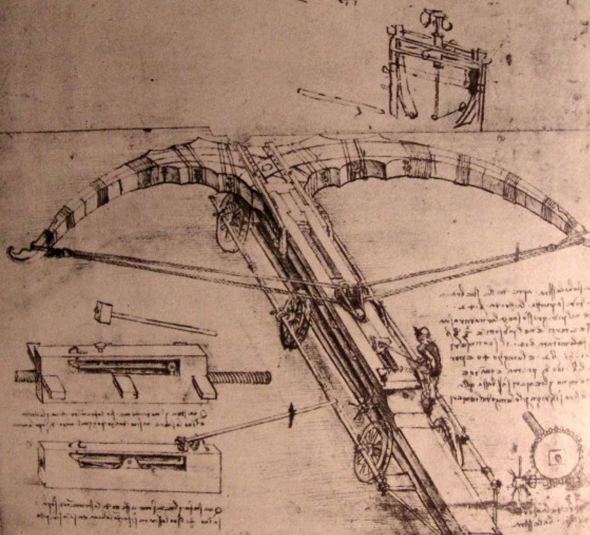 leonardo crossbow drawing