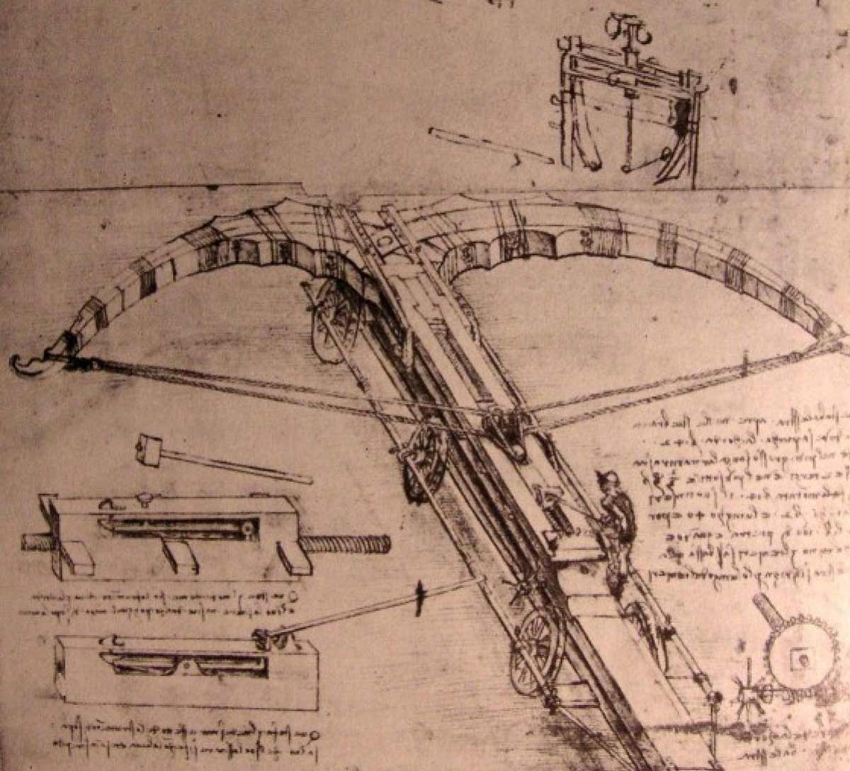 leonardo crossbow drawing
