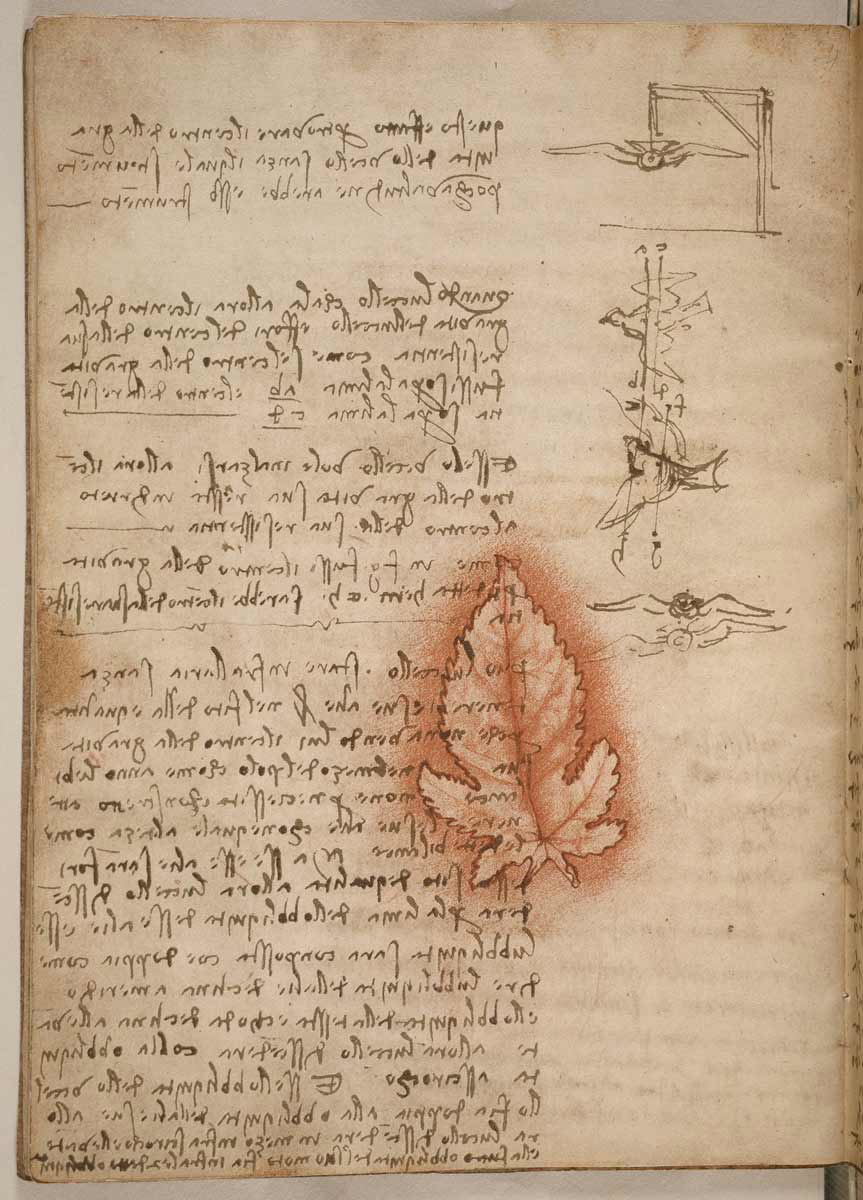 leonardo da vinci birds drawing