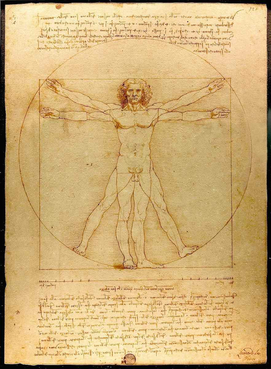 Vitruvian Man drawing by Italian Renaissance artist Leonardo da Vinci